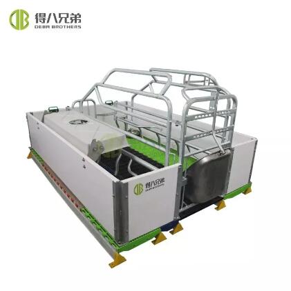 Optimizing Environment: Ventilation and Climate Control in European-Style Farrowing Crates