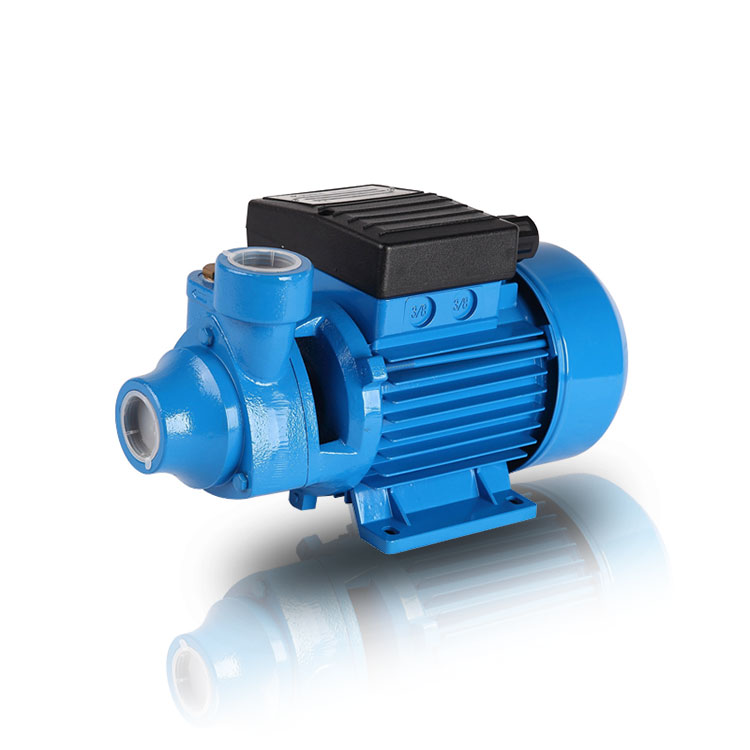 Exploring the Working Mechanism of an Electrical Peripheral Water Pump
