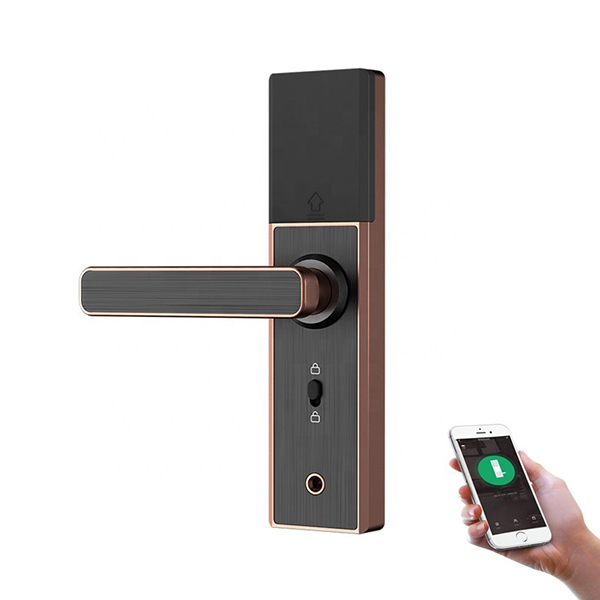 Exploring the Benefits of Electronic Fingerprint Digital Smart Lock Doors