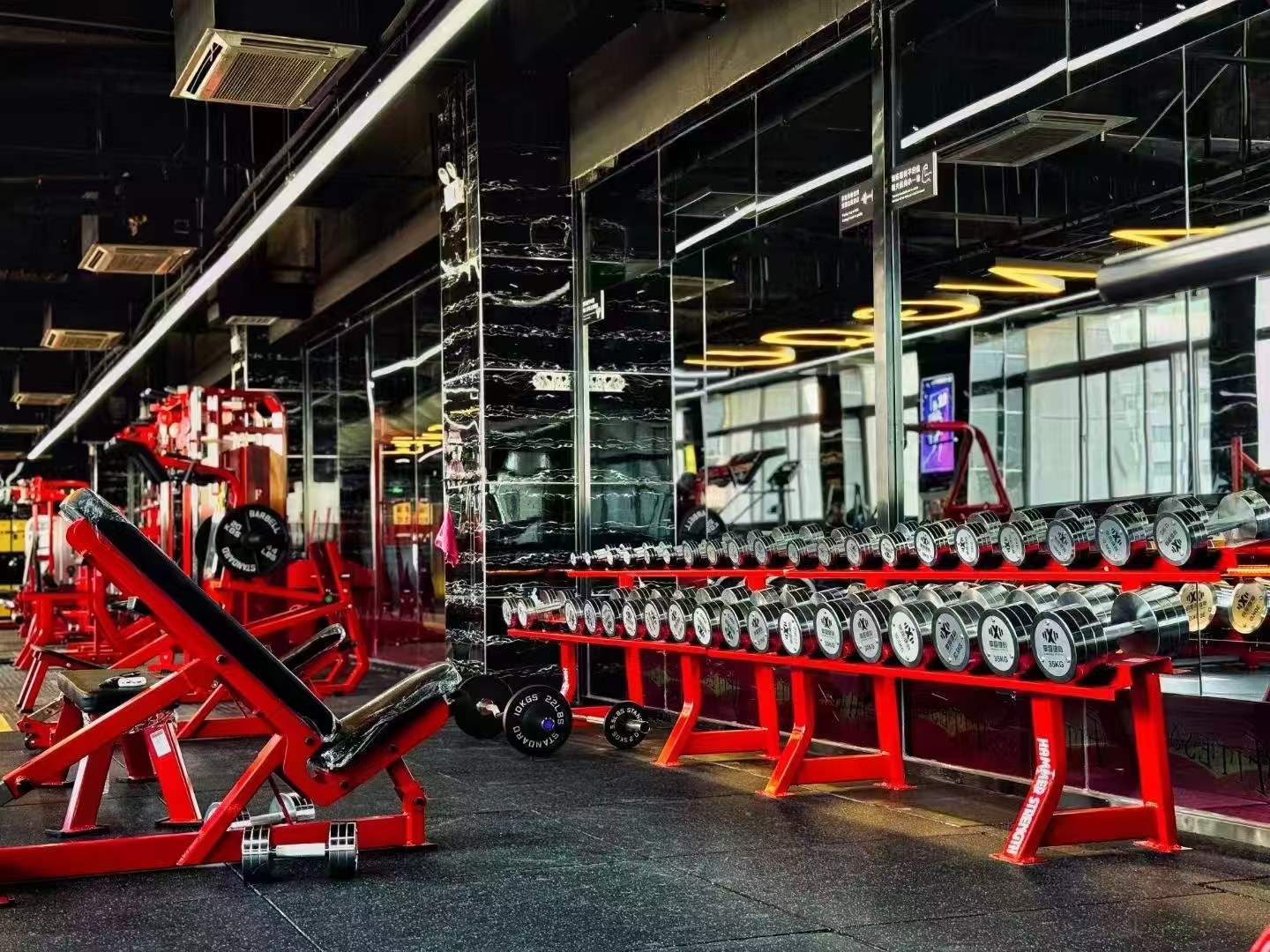 China Commercial Fitness Machines: Innovating Global Gym Equipment