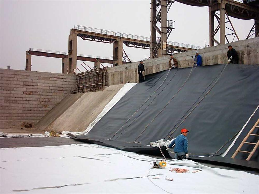 Uniaxial Geogrid Company Insights: Innovations and Applications in Ground Reinforcement