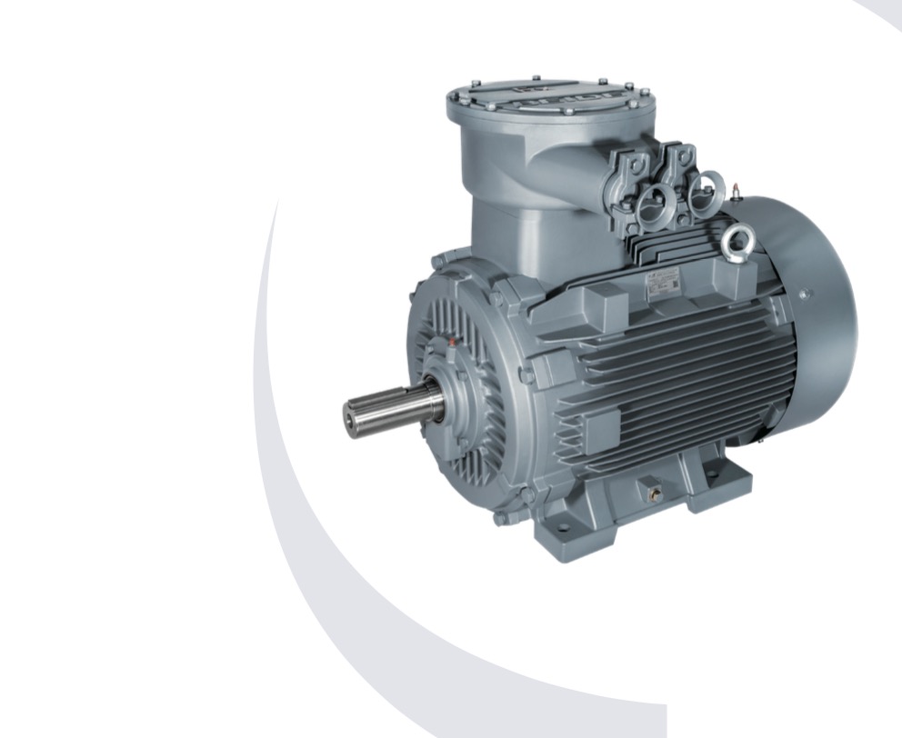 High-Evaluation Three-Phase Asynchronous Motor Company: Driving Industrial Excellence