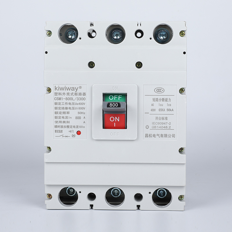 Professional Circuit Breaker Essentials: Safeguarding Your Electrical Systems
