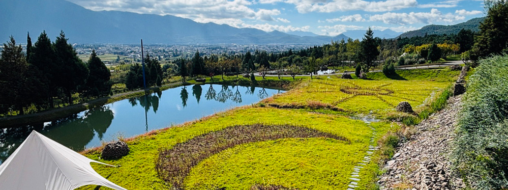 Hidden Attractions in Lijiang for a Deeper Cultural Experience